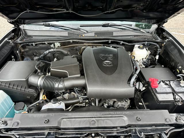 2023 Toyota Tacoma 4WD TRD Off-Road - 23024043 - 20