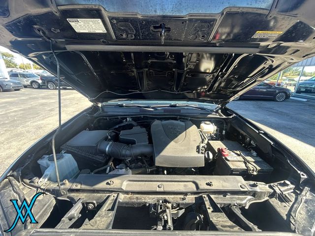2023 Toyota Tacoma Double Cab TRD Off-Road Pickup 4D 5 ft - 23097858 - 40