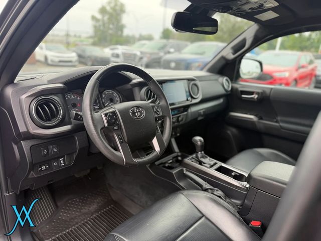 2023 Toyota Tacoma Double Cab TRD Off-Road Pickup 4D 6 ft - 23063099 - 12