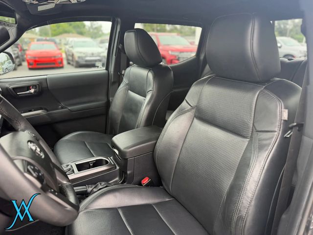 2023 Toyota Tacoma Double Cab TRD Off-Road Pickup 4D 6 ft - 23063099 - 13
