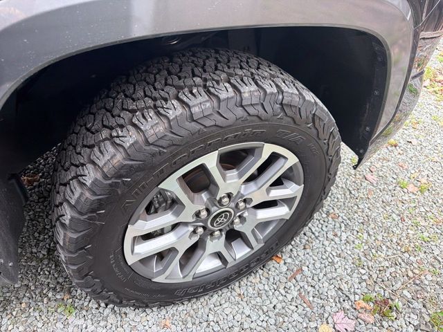 2023 Toyota Tundra 4WD 1794 Edition - 23095646 - 9