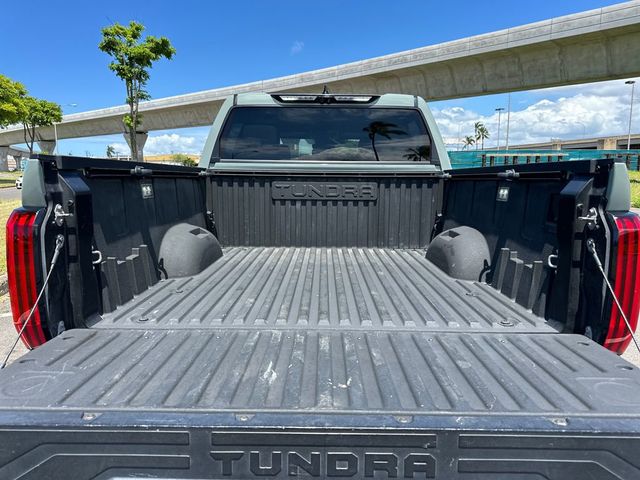 2023 Toyota Tundra 4WD Limited - 23043880 - 20