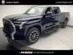 2023 Toyota Tundra 4WD Limited - 22981518 - 0