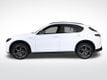 2024 Alfa Romeo Stelvio  - 22724968 - 1