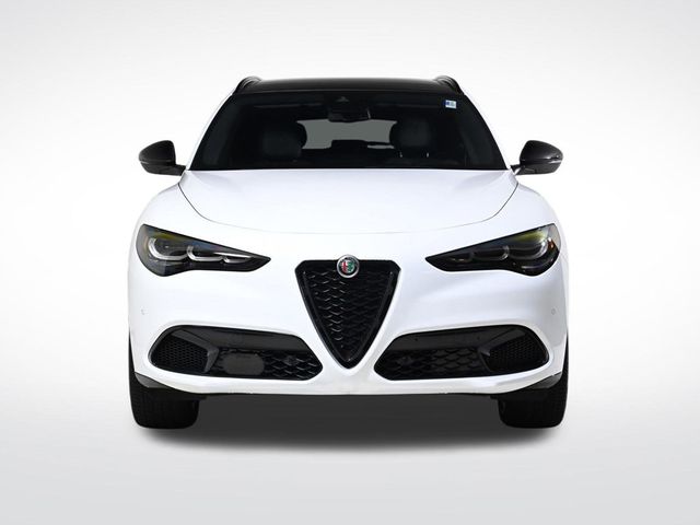 2024 Alfa Romeo Stelvio  - 22724968 - 7