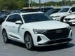 2024 Audi Q8 e-tron Premium Plus quattro - 23049699 - 10