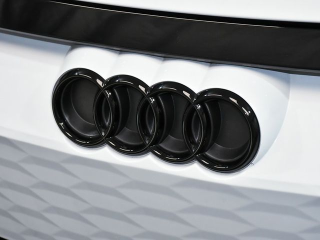 2024 Audi RS e-tron GT Base - 22948359 - 99