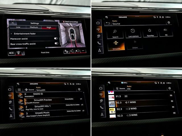 2024 Audi RS e-tron GT Base - 23006675 - 31