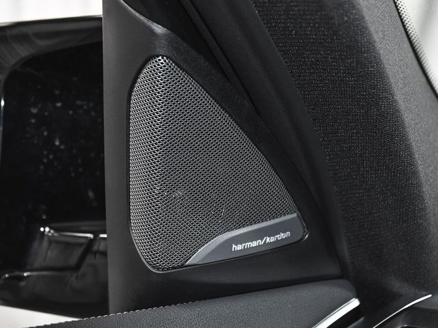 2024 BMW X4 M40i - 22977886 - 33