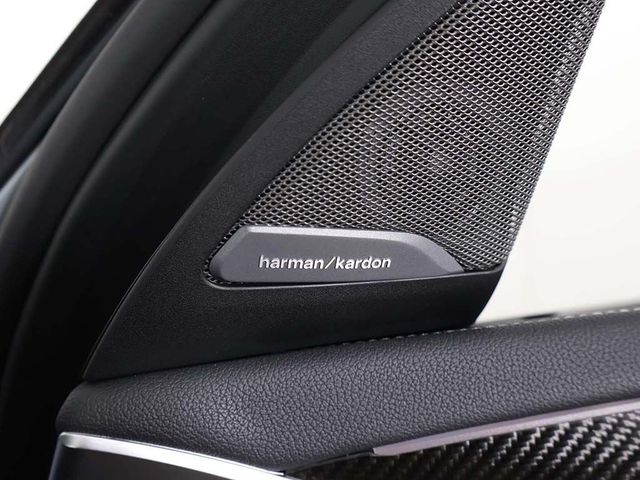2024 BMW X4 M40i Sports Activity - 23066494 - 62