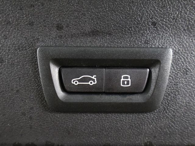 2024 BMW X4 xDrive30i Sports Activity - 23066496 - 22