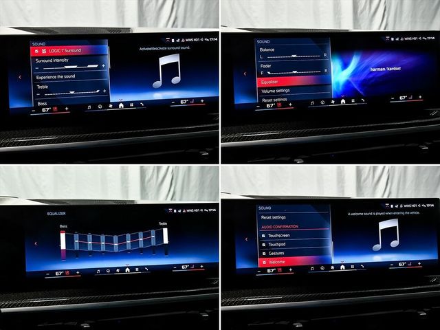 2024 BMW X7 M60i - 22970046 - 30