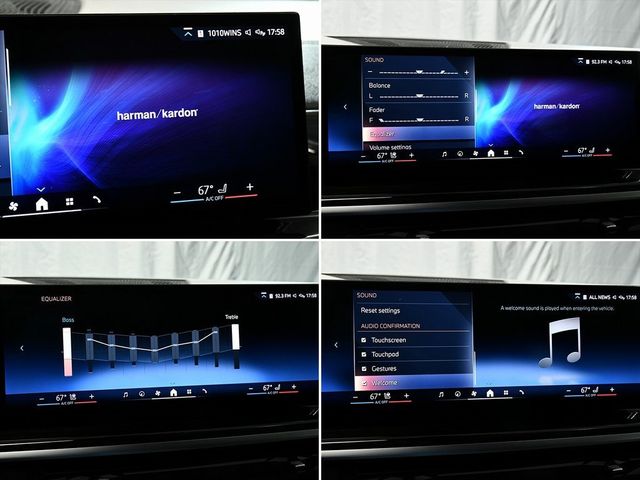 2024 BMW X7 xDrive40i - 22948105 - 30