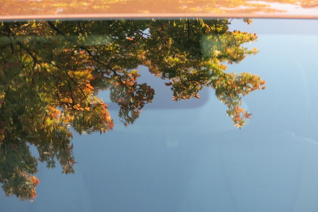 View 86