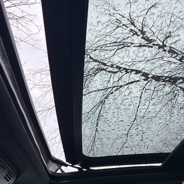 2024 Cadillac Escalade 4WD 4dr Premium Luxury Platinum - 22967221 - 10