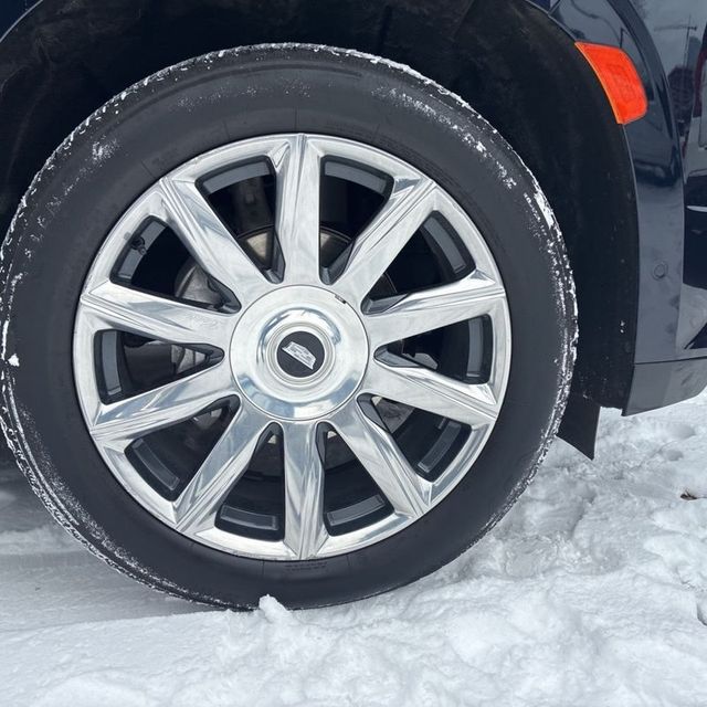 2024 Cadillac Escalade 4WD 4dr Premium Luxury Platinum - 22967221 - 20