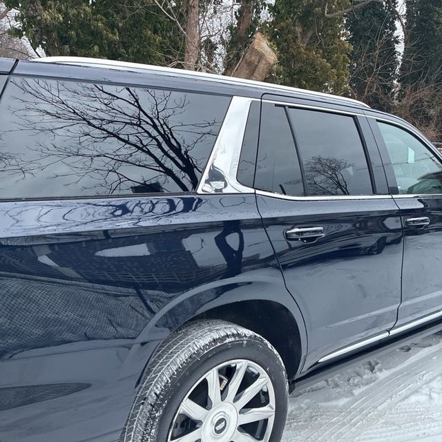 2024 Cadillac Escalade 4WD 4dr Premium Luxury Platinum - 22967221 - 24