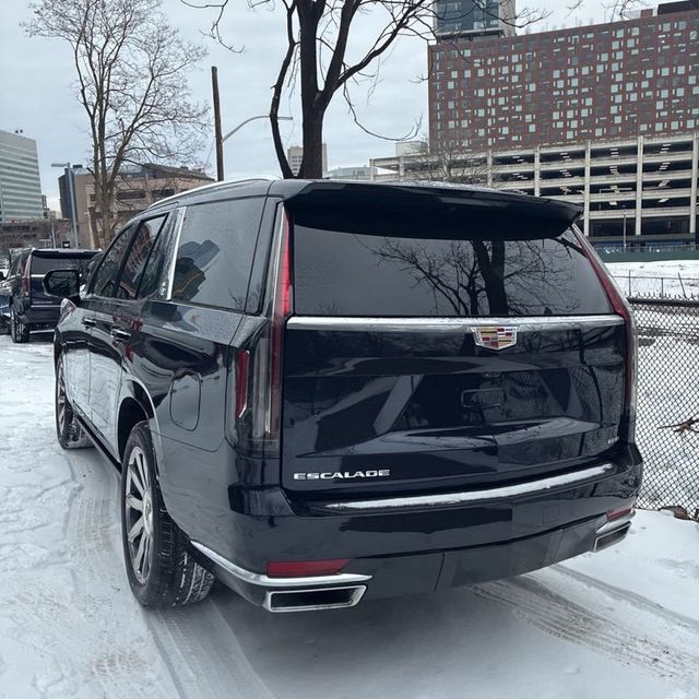 2024 Cadillac Escalade 4WD 4dr Premium Luxury Platinum - 22967221 - 5