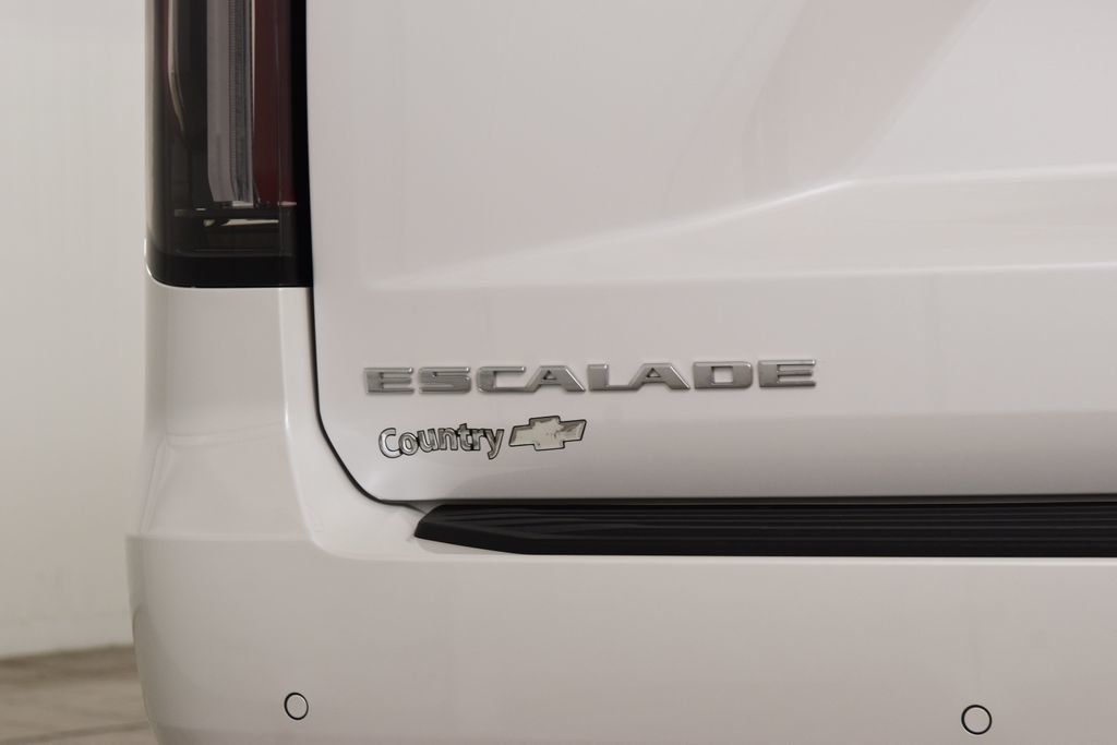 2024 Cadillac Escalade 4WD 4dr Sport Platinum - 23060664 - 20