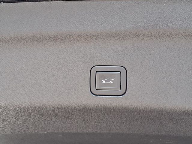 2024 Cadillac Escalade 4WD 4dr Sport Platinum - 22884739 - 32