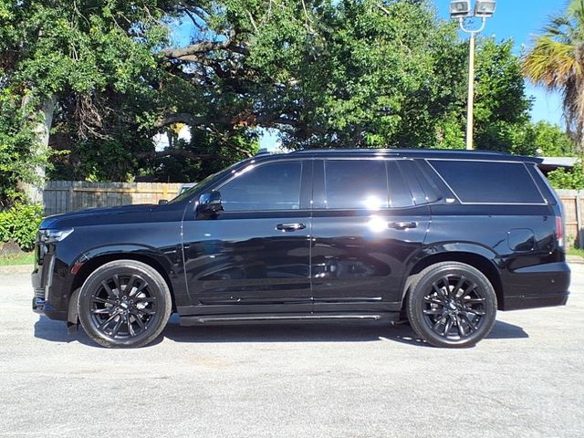 2024 Cadillac Escalade 4WD 4dr Sport Platinum - 22884739 - 8