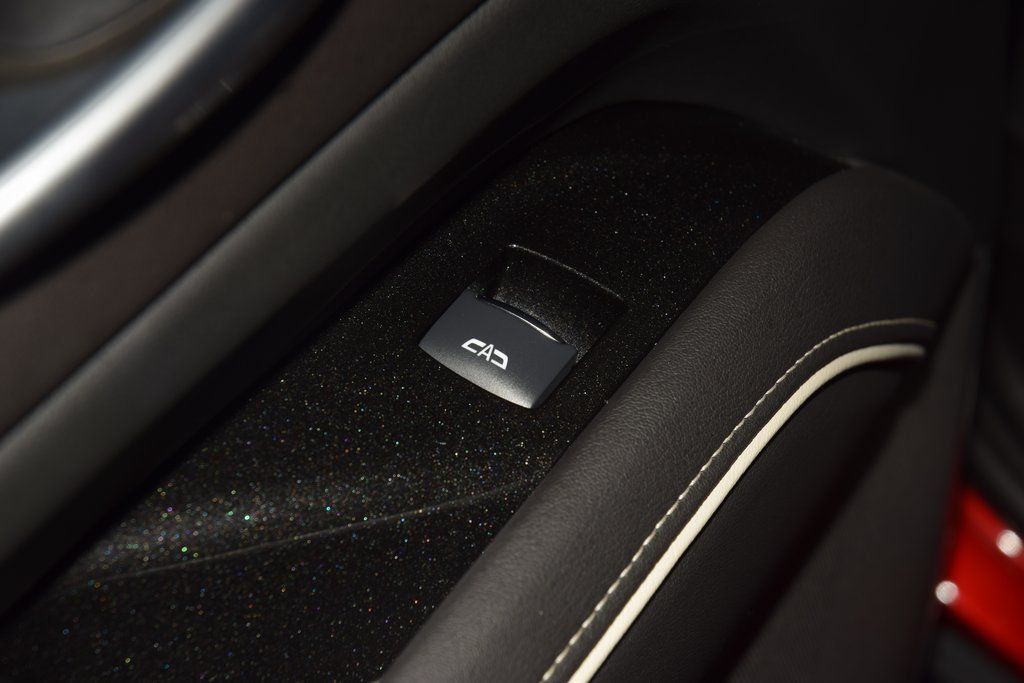 2024 Cadillac Escalade ESV 4WD 4dr Premium Luxury - 22982199 - 48