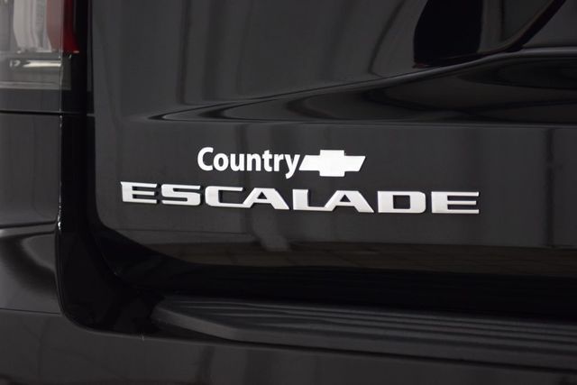 2024 Cadillac Escalade ESV 4WD 4dr Premium Luxury Platinum - 23016399 - 22