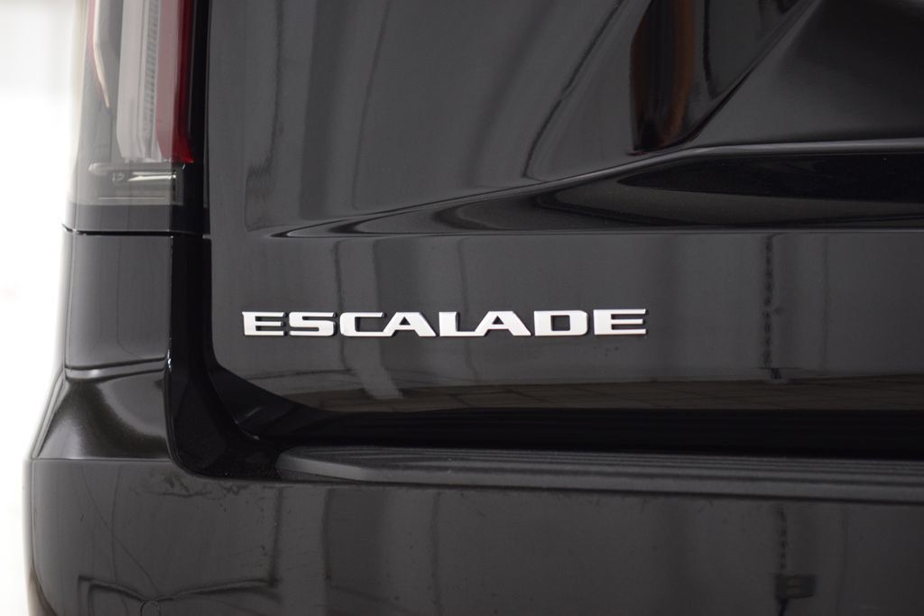 2024 Cadillac Escalade ESV 4WD 4dr Premium Luxury Platinum - 23021085 - 22