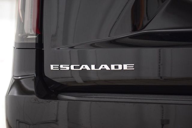2024 Cadillac Escalade ESV 4WD 4dr Premium Luxury Platinum - 23021085 - 22