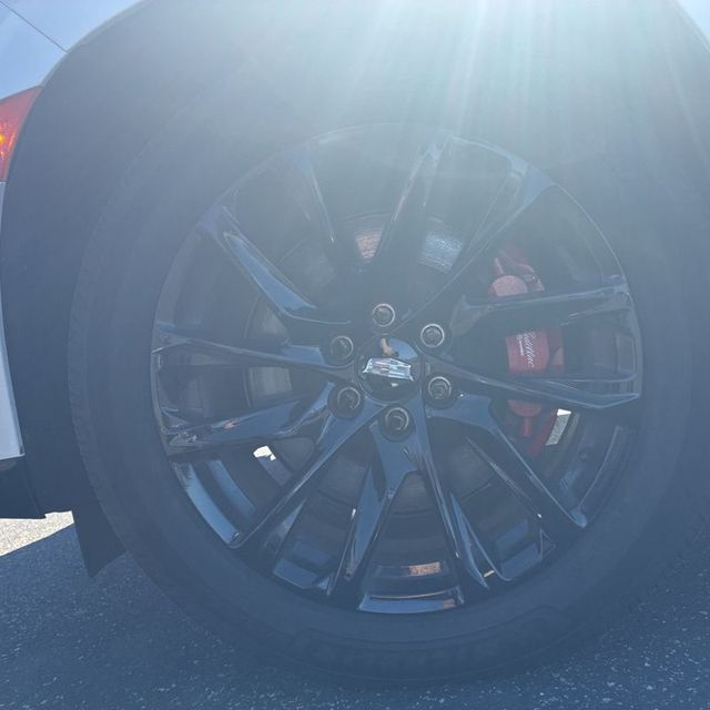 2024 Cadillac Escalade ESV 4WD 4dr Sport Platinum - 22997609 - 10