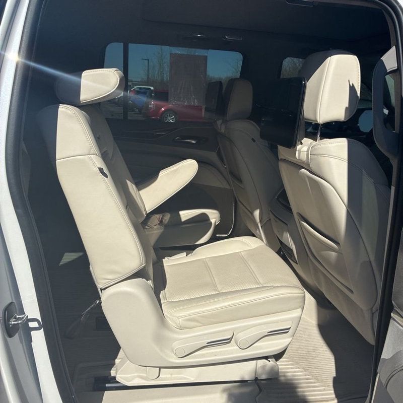 2024 Cadillac Escalade ESV 4WD 4dr Sport Platinum - 22997609 - 18