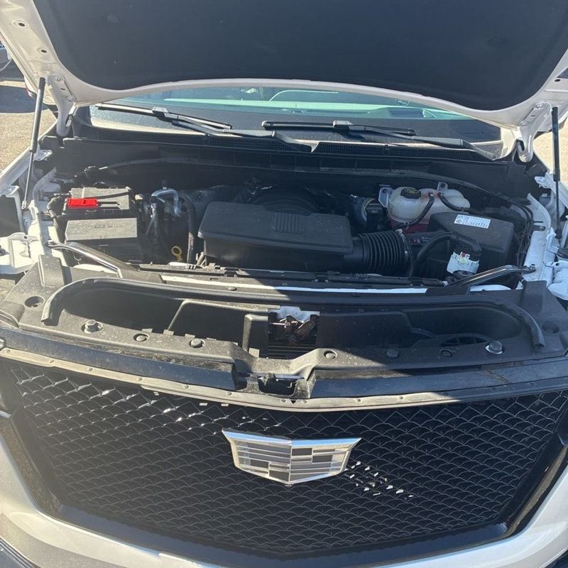 2024 Cadillac Escalade ESV 4WD 4dr Sport Platinum - 22997609 - 25