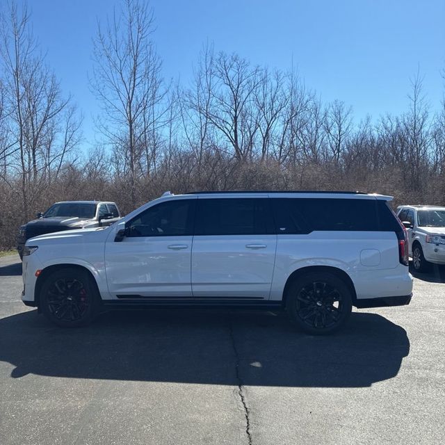 2024 Cadillac Escalade ESV 4WD 4dr Sport Platinum - 22997609 - 3