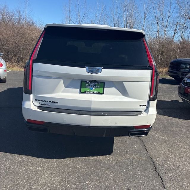 2024 Cadillac Escalade ESV 4WD 4dr Sport Platinum - 22997609 - 5