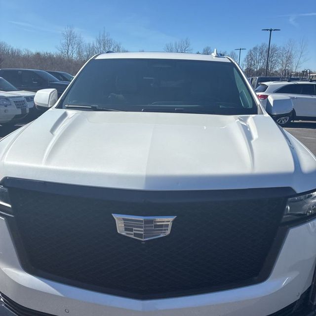 2024 Cadillac Escalade ESV 4WD 4dr Sport Platinum - 22997609 - 8