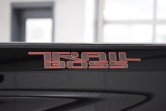 2024 Chevrolet Silverado 1500 4WD Crew Cab 157" LT Trail Boss - 23063867 - 28