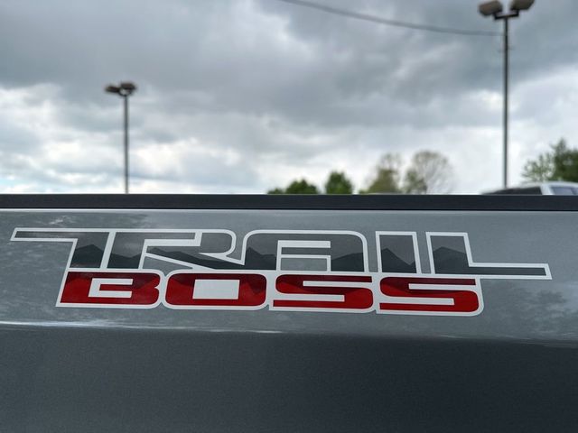 2024 Chevrolet Silverado 1500 LT Trail Boss w/ Leather - 23013680 - 10
