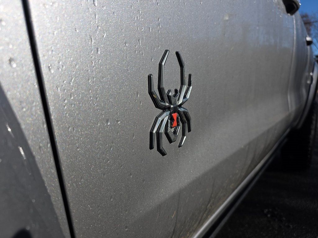 2024 Chevrolet Silverado 1500 RST - 22943828 - 18