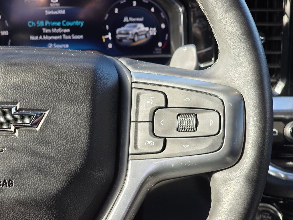 2024 Chevrolet Silverado 1500 RST - 22943828 - 25