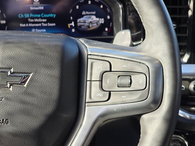 2024 Chevrolet Silverado 1500 RST - 22943828 - 25