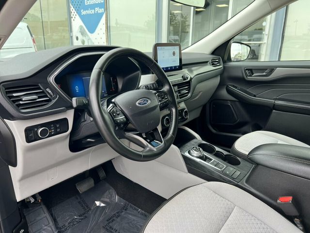 2024 Ford Escape Active AWD - 23069843 - 14
