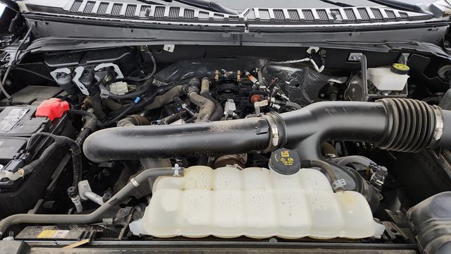 2024 Ford Expedition Limited 4x4 with 2nd Row Power Folding Bench Seat - 22952595 - 25