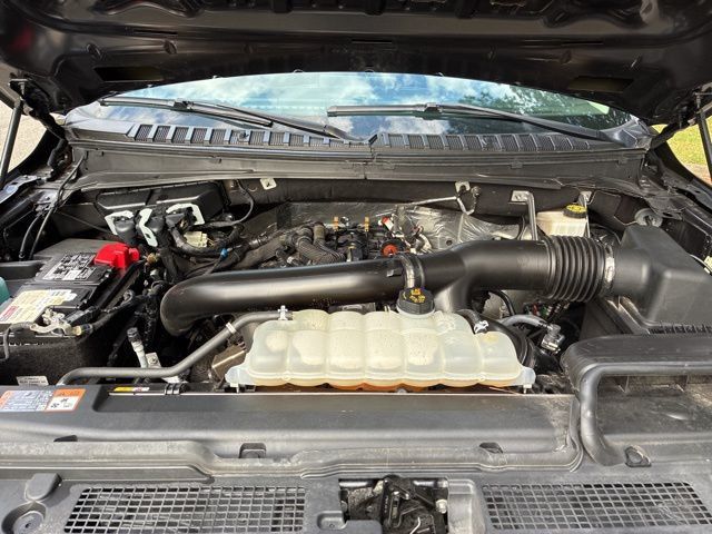 2024 Ford Expedition XLT 4x4 - 22991934 - 18