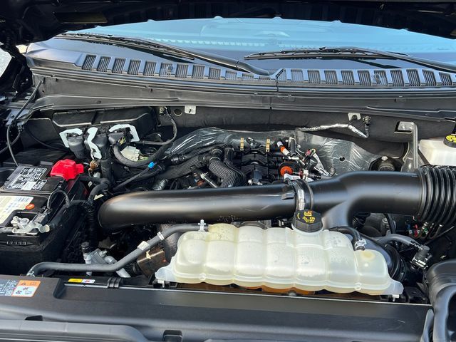 2024 Ford Expedition Max Limited 4x4 - 23054601 - 25