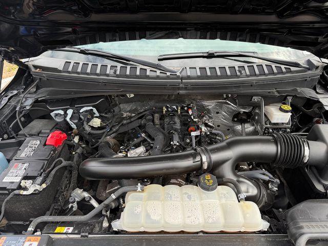 2024 Ford Expedition Max Limited 4x4 - 22988054 - 12