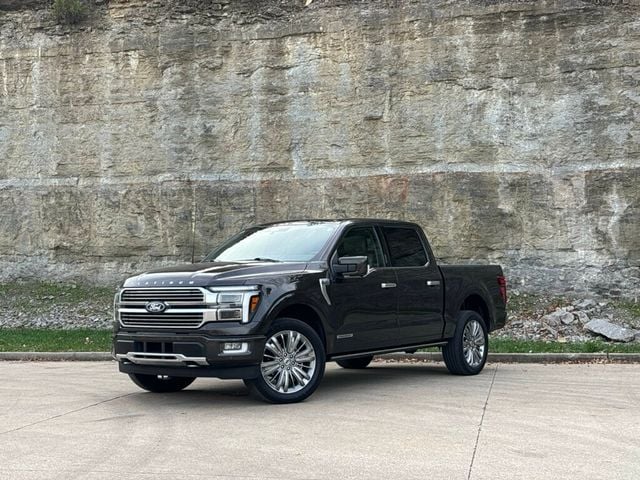 2024 Ford F-150 2024 FORD F-150 PLATINUM - 22946019 - 1