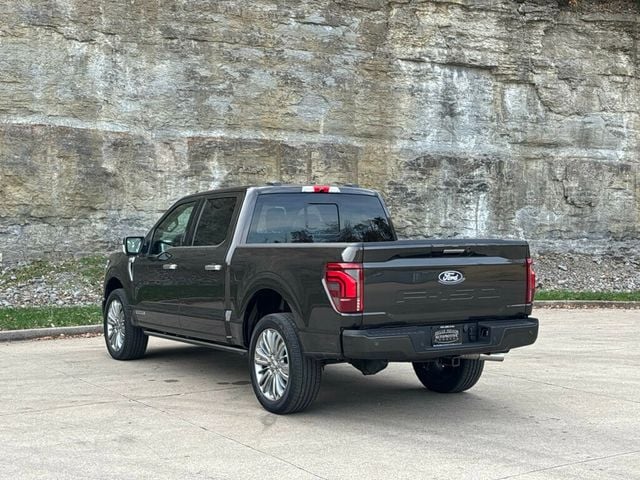2024 Ford F-150 2024 FORD F-150 PLATINUM - 22946019 - 2