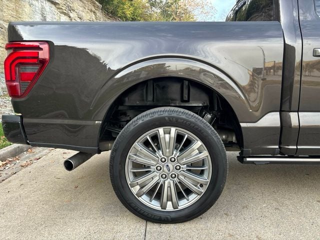 2024 Ford F-150 2024 FORD F-150 PLATINUM - 22946019 - 40
