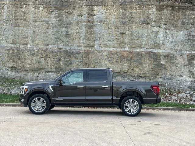 2024 Ford F-150 2024 FORD F-150 PLATINUM - 22946019 - 6