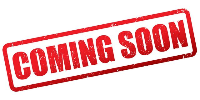 2024 FORD F-150 LARIAT - 22994379 - 1